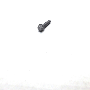 30640550 Bumper Impact Bar Bolt (Front, Lower)